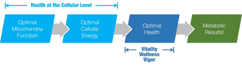 Arrow chart going left to right: Optional Mitochondria Function (health at the cellular level) > Optimal Cellular Energy (also health at the cellular level) > Optimal Health/Vitality, Wellness, Vigor > Metabolic Results!